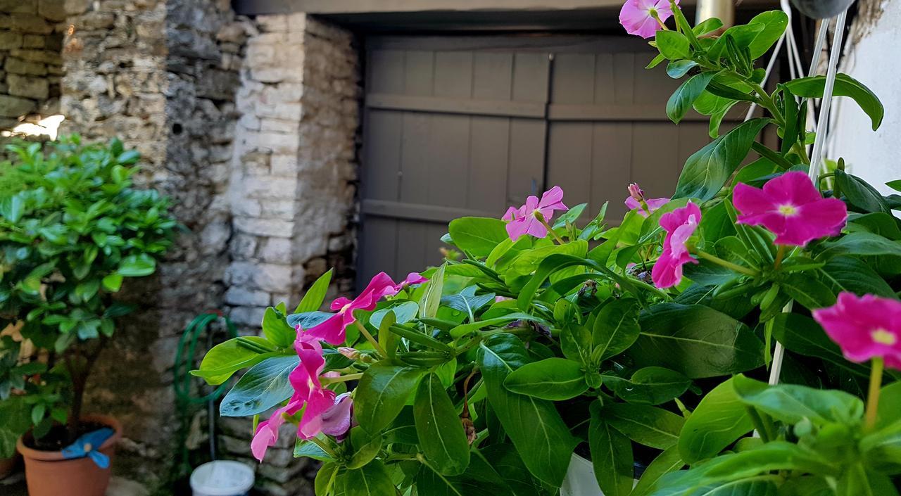 Lori'S Traditional House ジロカストラ エクステリア 写真